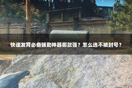 快速发育必备辅助神器哪款强？怎么选不被封号？